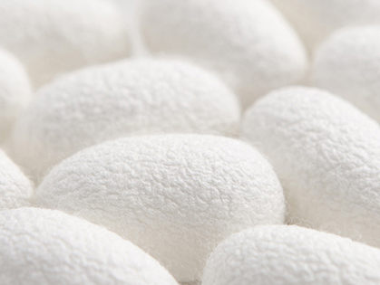 Hotel hospitality expo 5